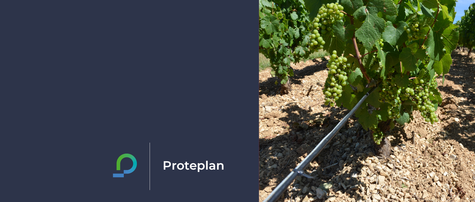 Prysmian | Cables, Energy System and Telecom Solutions | Prysmian Group